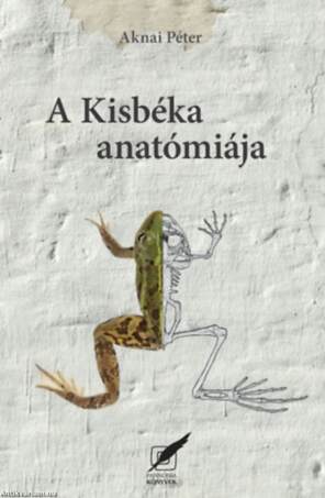 A Kisbéka anatómiája