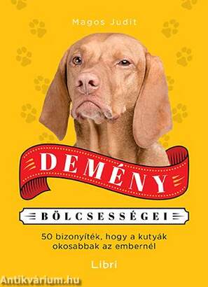 Demény bölcsességei - 50 bizonyíték, hogy a kutyák okosabbak az embereknél