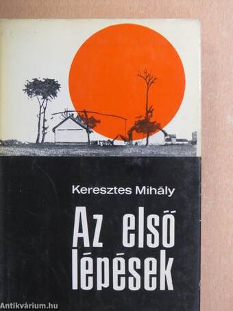 Az első lépések