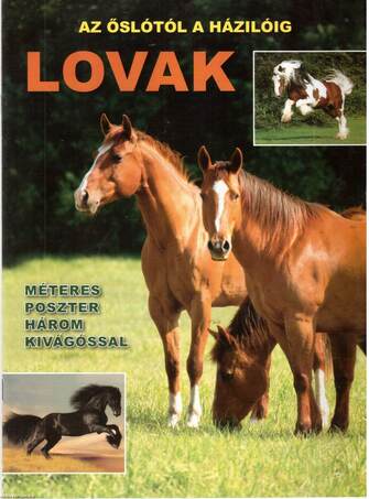 Lovak