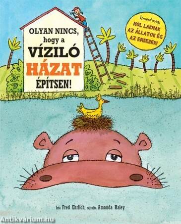 Olyan nincs, hogy a víziló házat építsen!