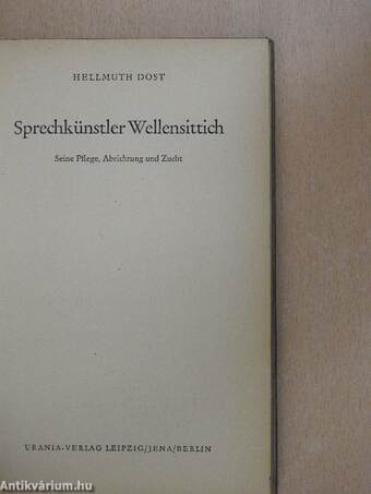 Sprechkünstler Wellensittich