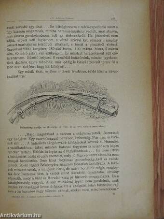 Az 1848-49-iki magyar szabadságharcz története II. (töredék)