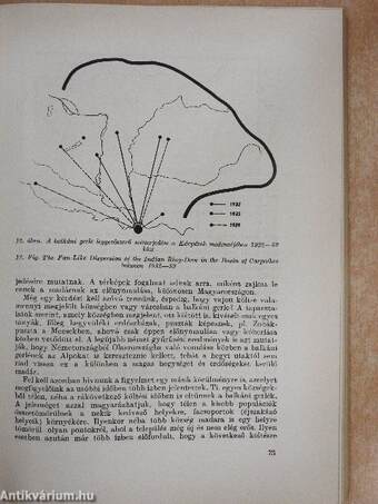 Aquila - A Madártani Intézet évkönyve 1960-61