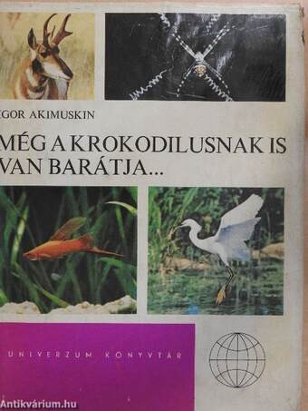 Még a krokodilusnak is van barátja...