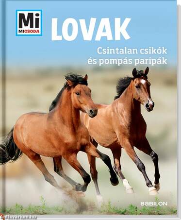 Mi MICSODA - Lovak - Csintalan csikók és pompás paripák