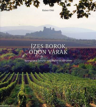 Ízes borok, ódon várak - Barangolás a Zempléni-hegységben és környékén