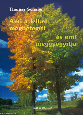 Ami a lelket megbetegíti