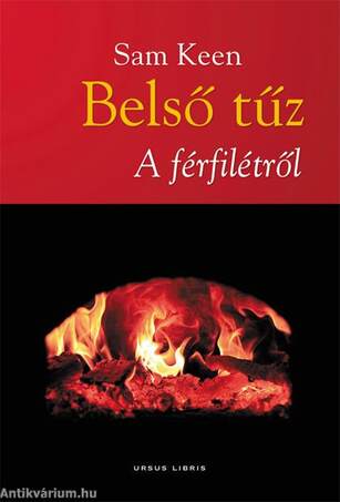 BELSŐ TŰZ - A FÉRFILÉTRŐL