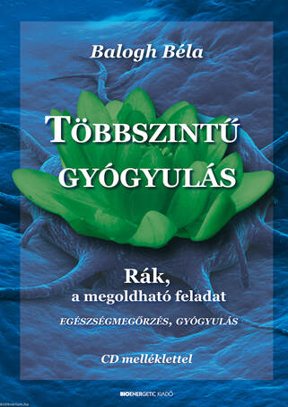 Többszintű gyógyulás - CD-melléklettel