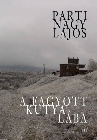 A fagyott kutya lába