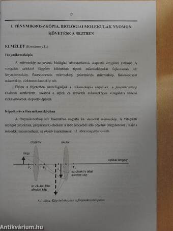 Molekuláris sejtbiológiai gyakorlatok fogorvostanhallgatóknak