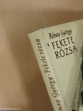 Fekete rózsa