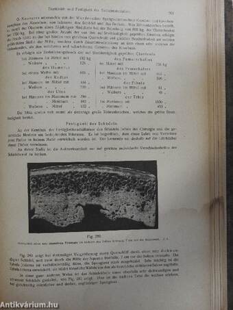 Rauber's Lehrbuch der Anatomie des Menschen Abteilung 2. (töredék)