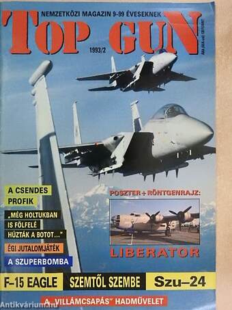 Top Gun 1993. február