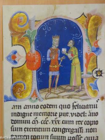 The Book of the Illuminated Chronicle