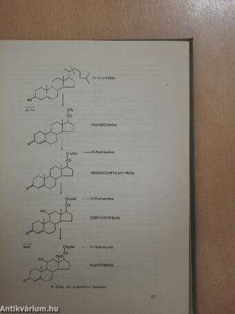 Cortison-származékok klinikai alkalmazása