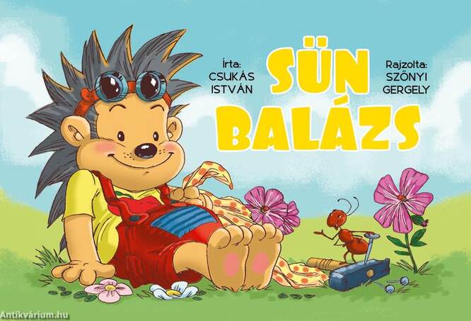 Sün Balázs - KEMÉNY BORÍTÓS