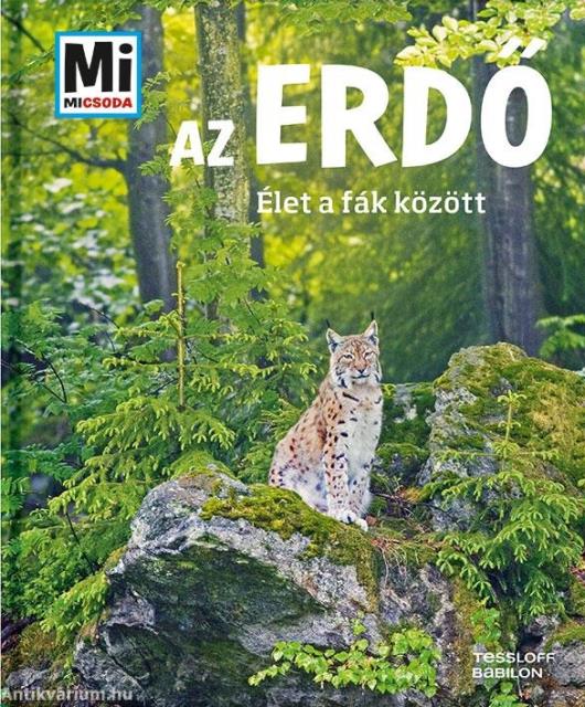 Az erdő - Élet a fák között