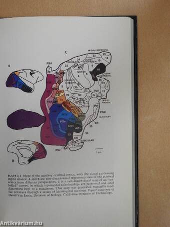 Mapping the brain and its functions