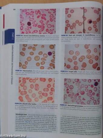 Harrison's Principles of Internal Medicine I-II.