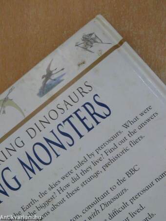 Flying monsters