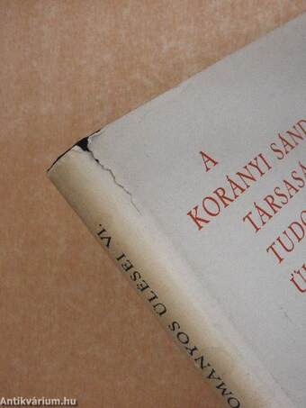 A Korányi Sándor Társaság tudományos ülései VI.