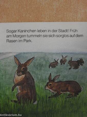 Tiere in der Stadt