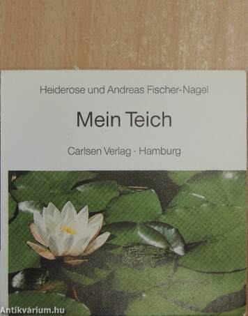 Mein Teich