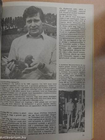 Versenyszárnyak Sportmagazin 1990. december