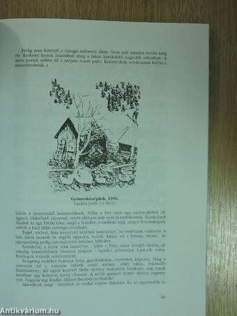 A Berzsenyi Dániel Evangélikus Gimnázium (Líceum) Évkönyve az 1996/97. tanévről az iskola fennállásának 440. évében