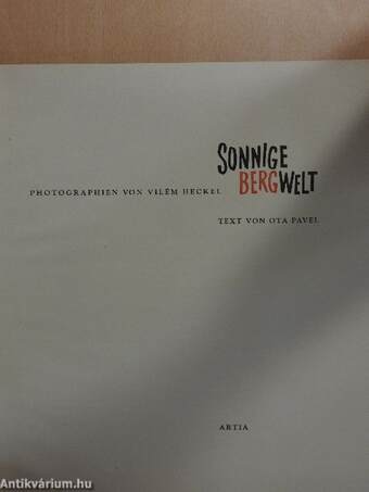 Sonnige Bergwelt