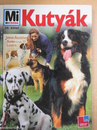 Kutyák