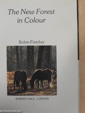 The New Forest in Colour