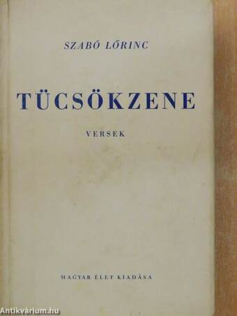 Tücsökzene