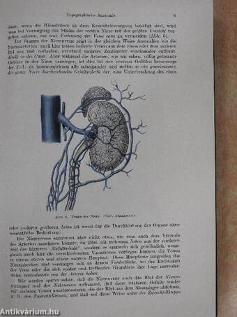 Allgemeine Urologie I-II.