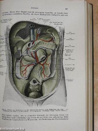 Allgemeine Urologie I-II.