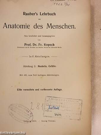 Rauber's Lehrbuch der Anatomie des Menschen Abteilung 3. (töredék)