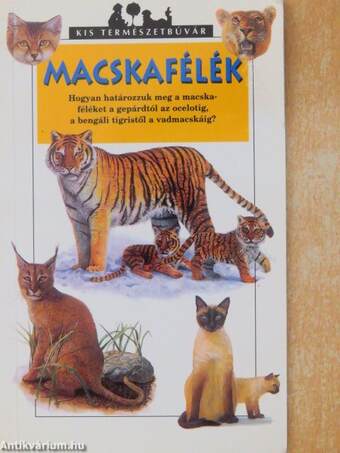 Macskafélék