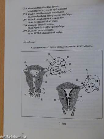 Útmutató a "Felkészülés a családi életre" tantárgy oktatásához