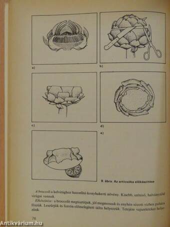 Vendéglátó technológia I.