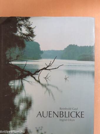 Auenblicke