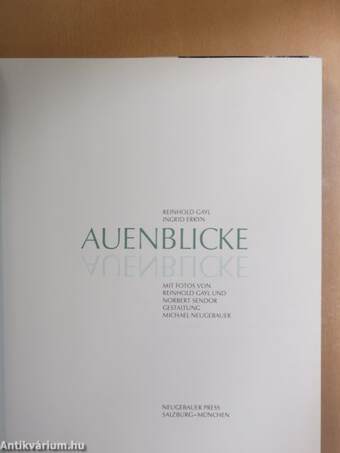 Auenblicke