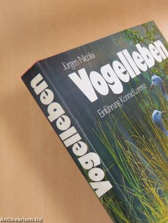 Vogelleben