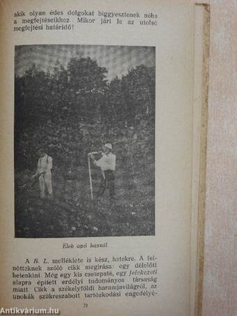 A Literatura almanachja 1930