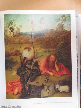 Hieronymus Bosch