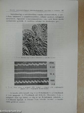 Állatkisérletekben előidézett szívizomgyulladások, azok elektrokardigraphiás registrálása és értékelése az elsődleges fertőzéses gócok szempontjából