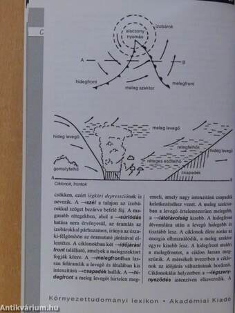 Környezettudomány