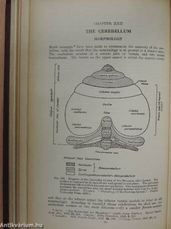 Principles of Human Physiology