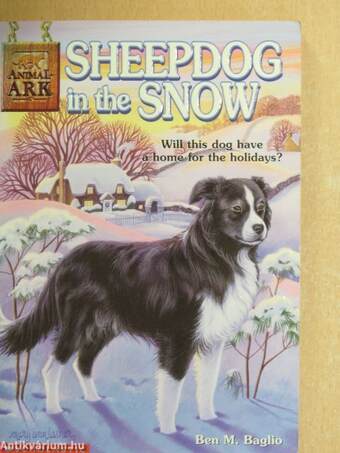 Sheepdog in the Snow